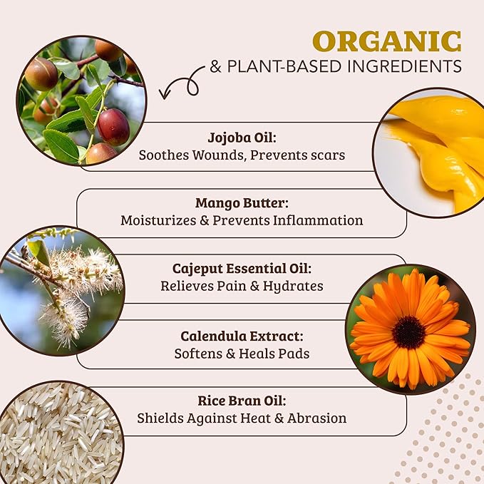 Natural Dog Company PawTection Balm 4 oz Tin – Wax-Based Paw Protector Balm with Shea & Calendula – Shields Paws from Snow, Ice, Salt, Hot Pavement & Rough Terrain – Lick-Safe, All Breeds