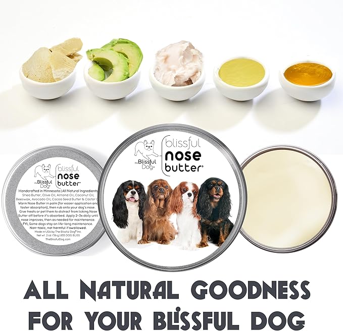 The Blissful Dog Cavalier King Charles Spaniel Nose Butter, Versatile Dog Nose Balm for Dry Nose, Handcrafted Nose Moisturizer, Easy-to-Apply Dog Essentials, Unscented, 2 oz.