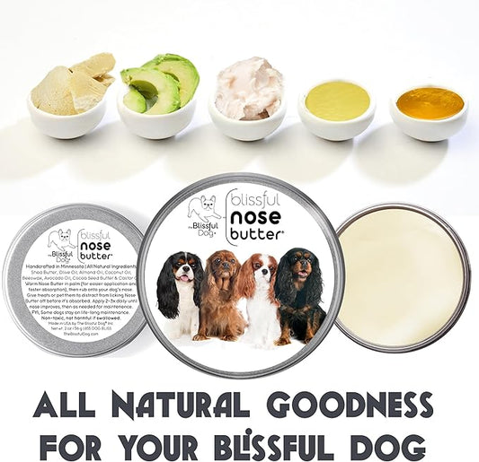 The Blissful Dog Cavalier King Charles Spaniel Nose Butter, Versatile Dog Nose Balm for Dry Nose, Handcrafted Nose Moisturizer, Easy-to-Apply Dog Essentials, Unscented, 2 oz.