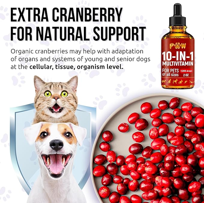 Cat Multivitamin B, C, & D3 – Liquid 10 in 1 Multivitamin for Dogs – Dog Vitamins and Supplements to Help with Allergies & UTIs – Cat Vitamins for Skin & Coat – Glucosamine for HIPS & Joints – 2 Oz