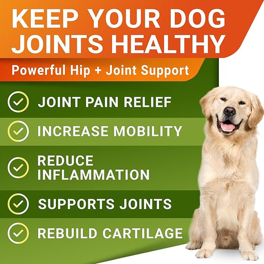 Advanced Hemp + Glucosamine Dog Joint Supplement - Hip Joint Pain Relief - Mobility Chews for Dogs - Chondroitin, MSM, Omega - Made in USA - Lamb Flavor - 120 Hemp Treats