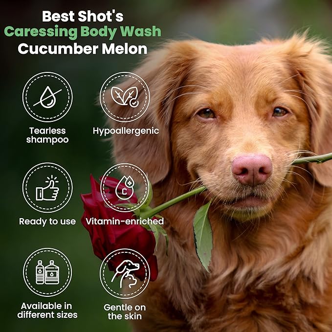 Best Shot Scentament Spa Caressing Body Wash, Cucumber Melon, 16 oz