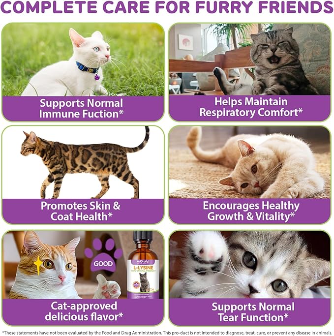 Cat L-Lysine Supplement for Immune & Respiratory Support 60ml, Support for Sneezing, Runny Nose & Eye Function, L-lysine Drops Roast Chicken Flavor.