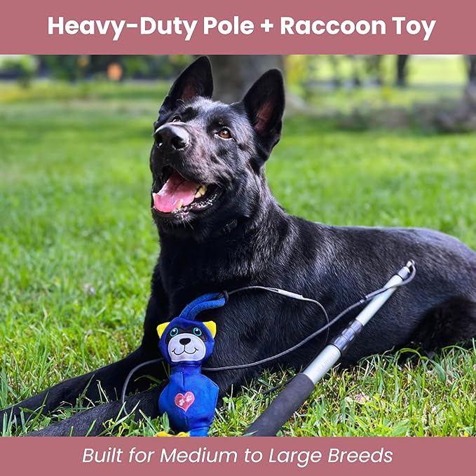 Flirt Pole for Dogs Heavy Duty - Multi-Sensory Tough Chase Toy for Medium & Large Breeds – Extra Strong 35" Dog Teaser Wand for Backyard Play, Training and Interactive Fun (Raccoon)