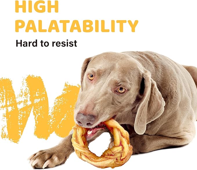 iPaw Turkey Tendons for Dogs 10 Pcs Value Pack, 100% Turkey and US Sourced Raw Material, Hypoallergenic, All Natural Human Grade Puppy Chew, Rawhide Alternative Dog Treats, Ring (Small)