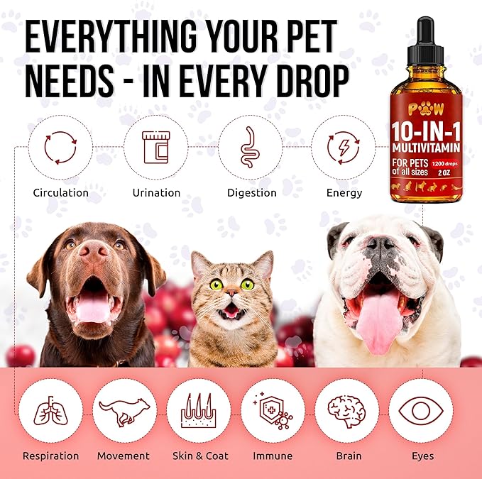Cat Multivitamin B, C, & D3 – Liquid 10 in 1 Multivitamin for Dogs – Dog Vitamins and Supplements to Help with Allergies & UTIs – Cat Vitamins for Skin & Coat – Glucosamine for HIPS & Joints – 2 Oz