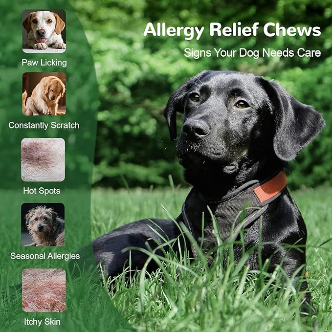 Dog Itch Relief Chews for Large Dogs Paw Licking Itchy Skin Seasonal Allergies, Probiotics with Astragalus Omega-3 for Coat Immune Supplement-150ct