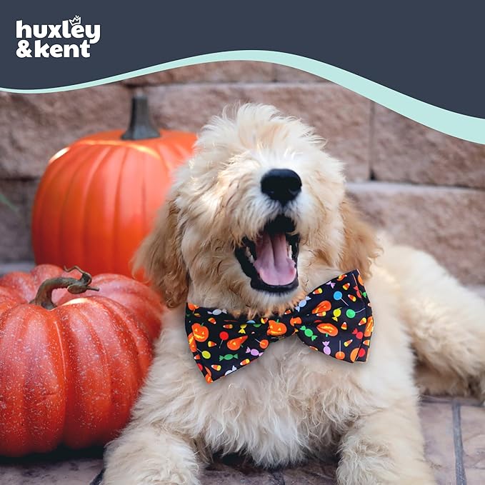 Huxley & Kent Pet Bow Tie for Dogs & Cats - Halloween Adjustable Hook & Loop Collar Accessory - Cute & Comfortable for Holidays & Celebrations - Trick or Treat, Small