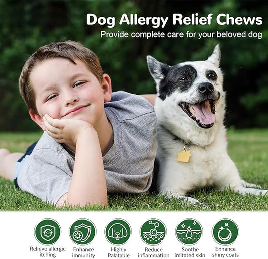Dog Itch Relief Chews for Large Dogs Paw Licking Itchy Skin Seasonal Allergies, Probiotics with Astragalus Omega-3 for Coat Immune Supplement-150ct