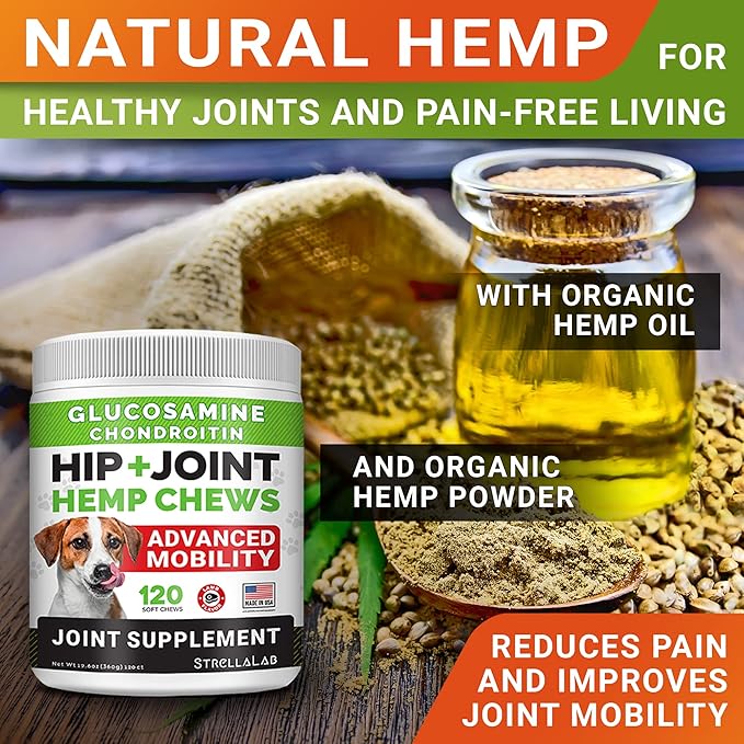 Large Breed Hemp + Glucosamine Dog Joint Supplement - Hemp Chews for Dogs Hip Joint Pain Relief - Omega 3, Chondroitin, MSM - Advanced Mobility Hemp Oil Treats for Large Dogs - Made in USA - 240 Ct