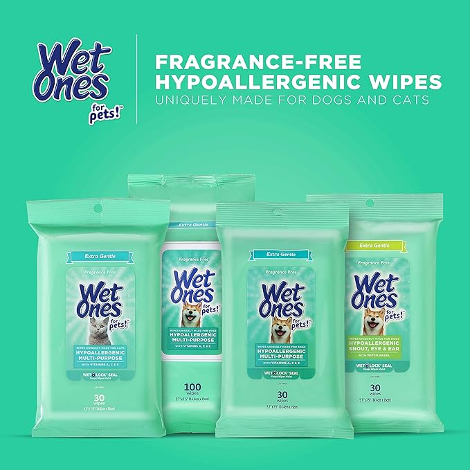 Wet Ones for Pets Extra Gentle Dog Wipes with Witch Hazel for Snout, Eye, Ear - Fragrance-Free Wipes for Dogs with Wet Lock Seal, 30 Count