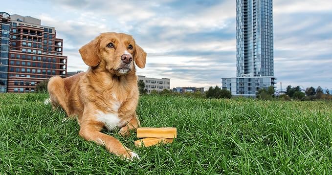 peaksNpaws Himalayan Dog Chews, High Protein Yak Cheese, Lactose Free, Natural Dog Treat, Long Lasting Chew Stick for Aggressive Chewers Under 35 lbs, 3 Medium Sticks, 100% Eco-Friendly Packaging