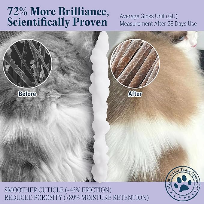 Pretty Kitty Waterless Cat Dry Shampoo with Grooming Glove (Left-Handed)– No Rinse, Lick-Safe, Moisturizing for Dry Skin, Dandruff, Deshedding, Wash Soap Spray Foam for Kitten