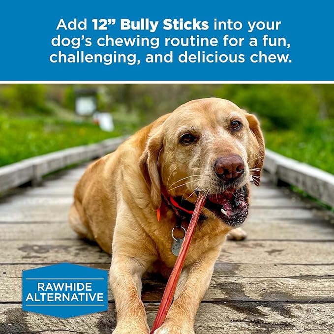 Best Bully Sticks 12 Inch Bully Sticks - 8 oz (Pack of 1) - Natural Grass-Fed, Grain and Rawhide Free, Perfect for Medium or Large Canines