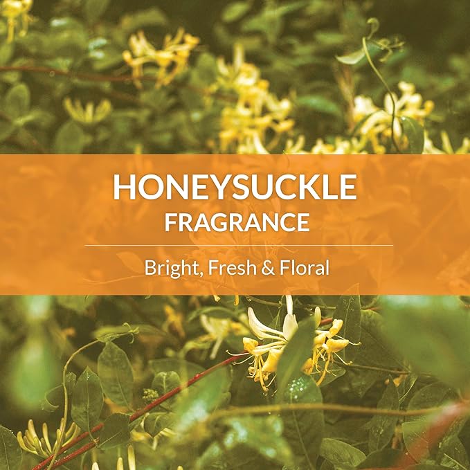 Skout's Honor Probiotic Cat Shampoo & Conditioner with Avocado Oil & Omega-3s, 97% Natural, Paraben & Sulfate-Free, Cruelty-Free, 16oz, Honeysuckle, 2-Pack