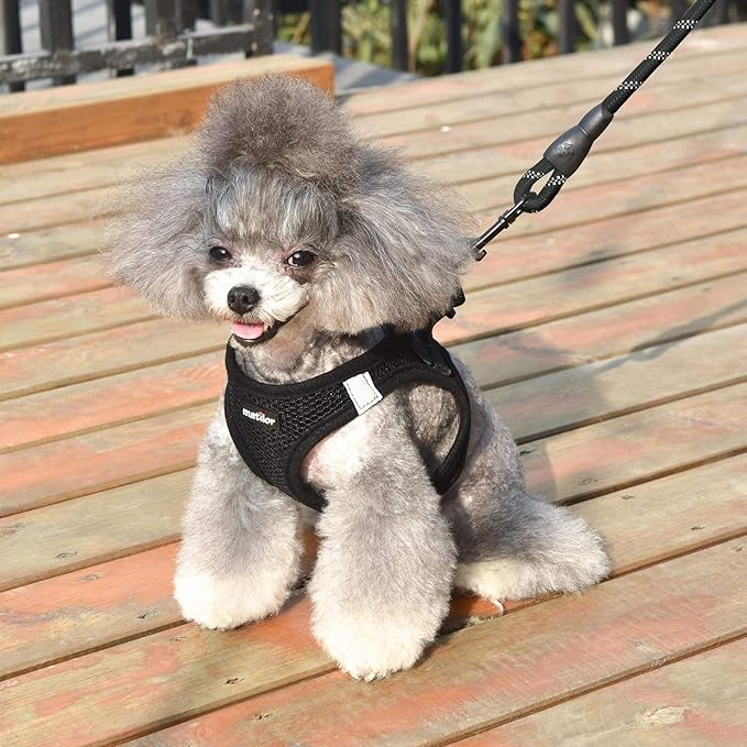 Dog Harness Step-in Breathable Puppy Cat Dog Vest Harnesses for Small Medium Dogs