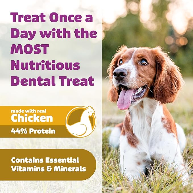 Yummy Combs Dog Dental Treats – Vet VOHC Approved – Delicious Chicken Protein – Removes Tartar with Cleaning Comb Shape – Dental Dog Treats for Large Dogs (12oz, 9 Count)