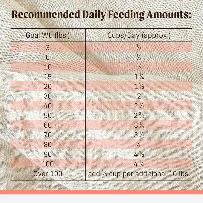 Merrick Backcountry Healthy Grains Premium Dog Food Kibble with Freeze Dried Raw Pieces, Pacific Catch Recipe - 4.0 lb. Bag