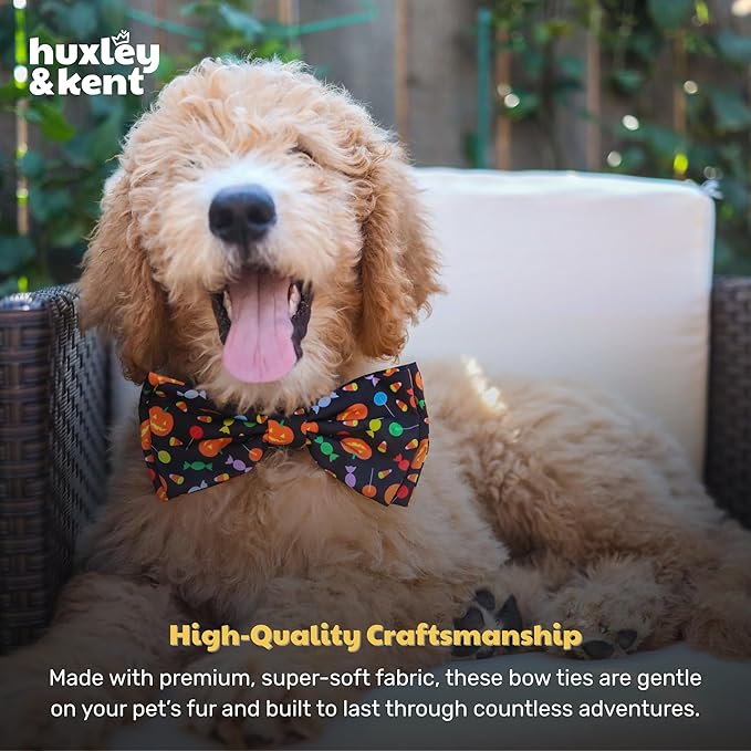 Huxley & Kent Pet Bow Tie for Dogs & Cats - Halloween Adjustable Hook & Loop Collar Accessory - Cute & Comfortable for Holidays & Celebrations - Trick or Treat, Large