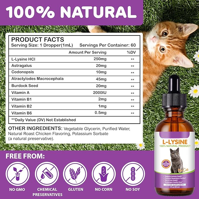 Lysine for Cats - 2 Packs Cat Lysine Drops