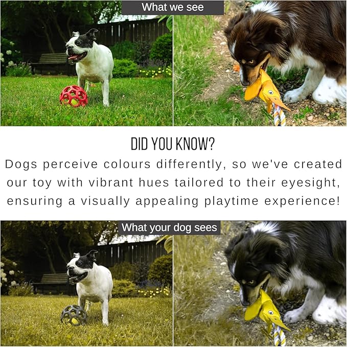 Flirt Pole for Dogs Heavy Duty - Multi-Sensory Tough Chase Toy for Medium & Large Breeds – Extra Strong 35" Dog Teaser Wand for Backyard Play, Training and Interactive Fun (Duck)