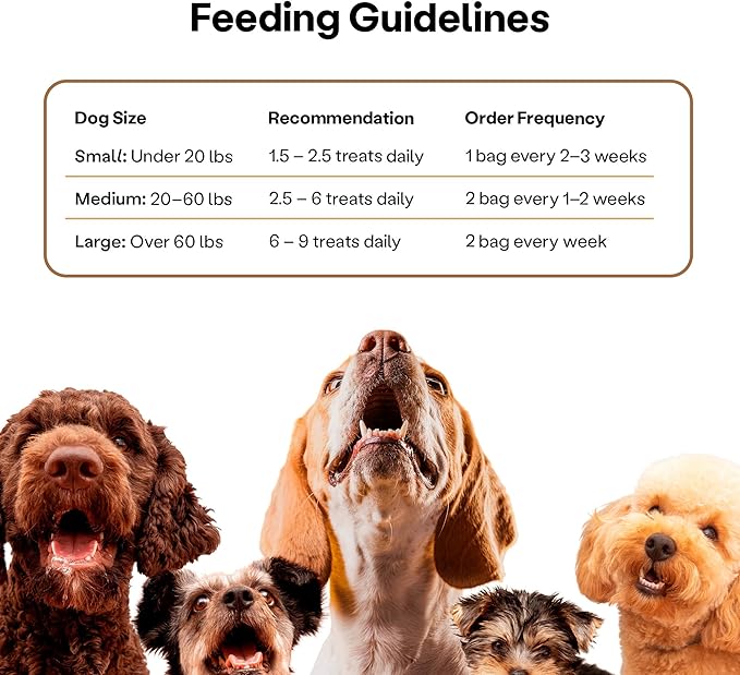 Wild Earth Superfood Dog Treats, Plant Based Dog Treats with Omega Acids, Prebiotics & Koji Protein, No Fillers, Veterinarian-Developed, Peanut Butter Flavor