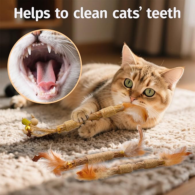 Silvervine Feather Toy - Natural Silver Vines Cat for Dental Health & Teething, Silvervine Stick for Hairball Control, Kick Stick,Cat Chew Sticks for Indoor