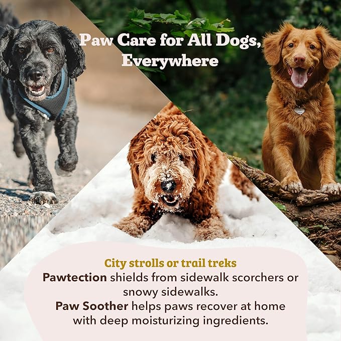 Natural Dog Company PawTection Balm 4 oz Tin – Wax-Based Paw Protector Balm with Shea & Calendula – Shields Paws from Snow, Ice, Salt, Hot Pavement & Rough Terrain – Lick-Safe, All Breeds