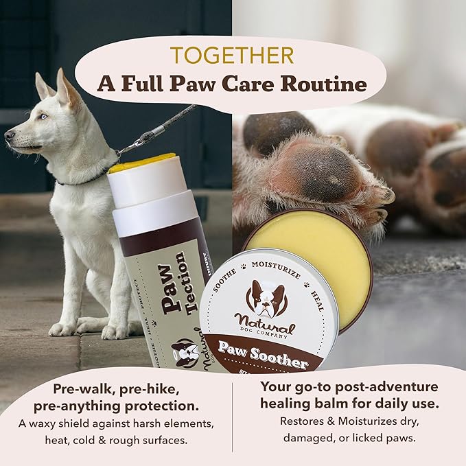 Natural Dog Company PawTection Balm 1 oz Tin – Dog Paw Protection with Shea Butter & Calendula – Shields Paws from Snow, Ice, Salt, Hot Pavement & Rough Terrain – Lick-Safe, All Breeds