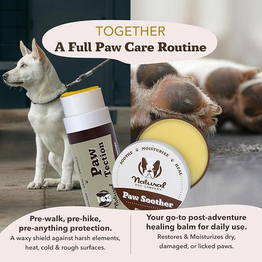 Natural Dog Company PawTection Balm 1 oz Tin – Dog Paw Protection with Shea Butter & Calendula – Shields Paws from Snow, Ice, Salt, Hot Pavement & Rough Terrain – Lick-Safe, All Breeds