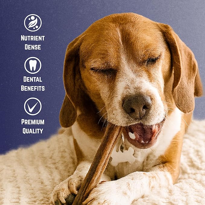 Devil Dog Pet Co. Bully Sticks – 6 Inch, 5 Pack, Standard Sized Dog Chews, 100% Natural, Single Ingredient, Free-Range Grass-Fed Beef – Long Lasting, Rawhide-Free Treats for Dogs