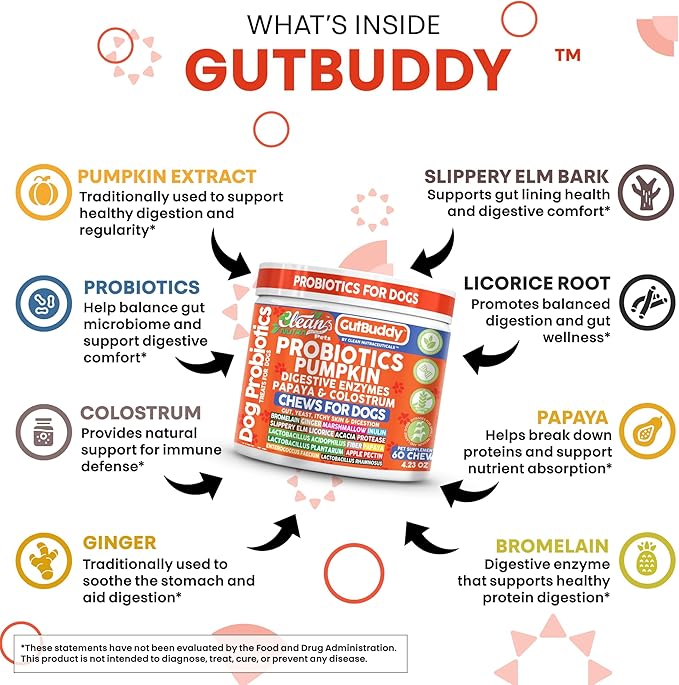 Gut Health Probiotics for Dogs + Pumpkin Colostrum Digestive Enzymes Ginger Slippery Elm Licorice Inulin Fiber Soft Chews Dog Probiotic Beef Flavor Digestion Supplement Treat Bites Large & Small Pets