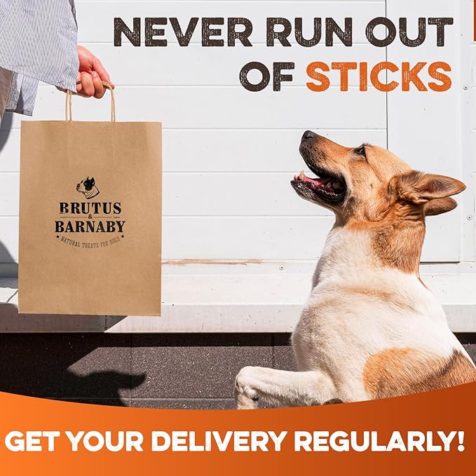 BRUTUS & BARNABY Bully Sticks for Dogs, 6" – Low-to-No Odor, Grass-Fed, Rawhide-Free Chews for Aggressive Power Chewers