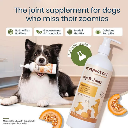 Hip and Joint Supplement for Dogs - Glucosamine with Plant-Based Chondroitin, MSM & Pumpkin - Advanced Joint Relief Dog Supplements for Large & Small Breeds - USA Made 16OZ