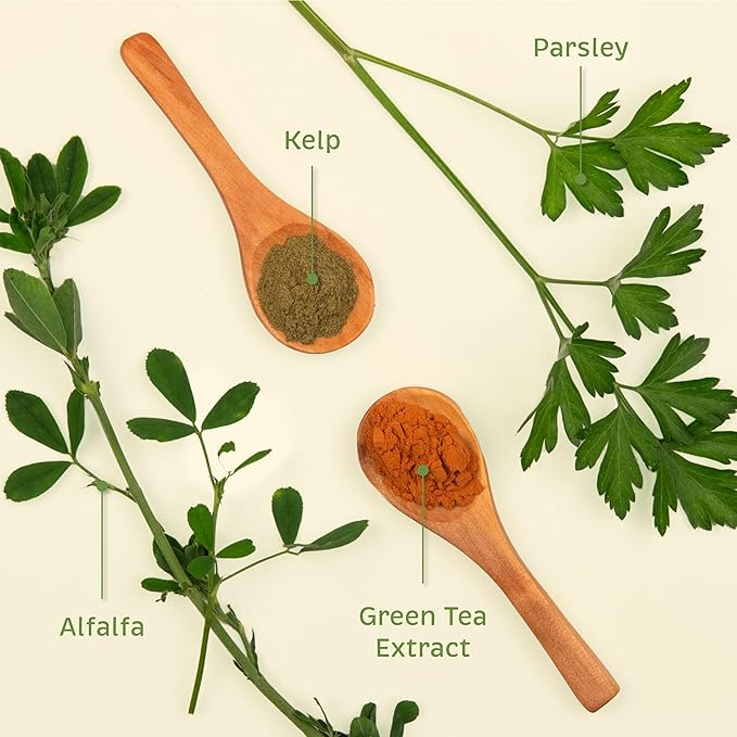 Spirited Paw Pet Health Bundle - Dental & Joint Support for Dogs - Teeth Powder & Chewable Wafers for Plaque, Tartar, and Mobility - 165 g Powder & 100 Wafers