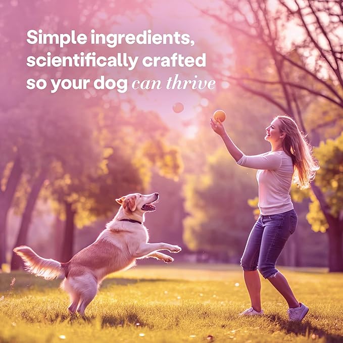 Wild Earth Superfood Dog Treats, Plant Based Dog Treats with Omega Acids, Prebiotics & Koji Protein, No Fillers, Veterinarian-Developed, Strawberry & Beet Flavor