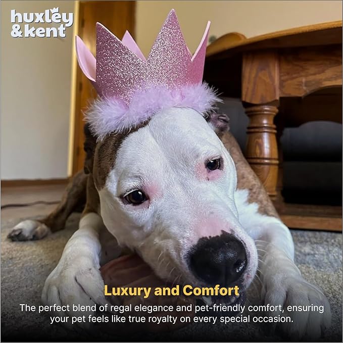Huxley & Kent Pet Party Crown Hat for Dogs & Cats - Comfortable SnugFit Adjustable Straps - Glitter Crown for Parties, Gotcha Days & Celebrations - Pink, Large