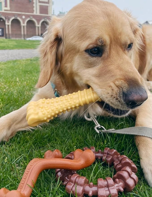 Nylabone Customer Favorites Power Chew Toy Bundle for Dogs, Indestructible Dog Toys for Aggressive Chewers, Pack of 3 Dog Toys, Flavor Medley, Large Dogs - Up to 50 lbs, 3 Pack