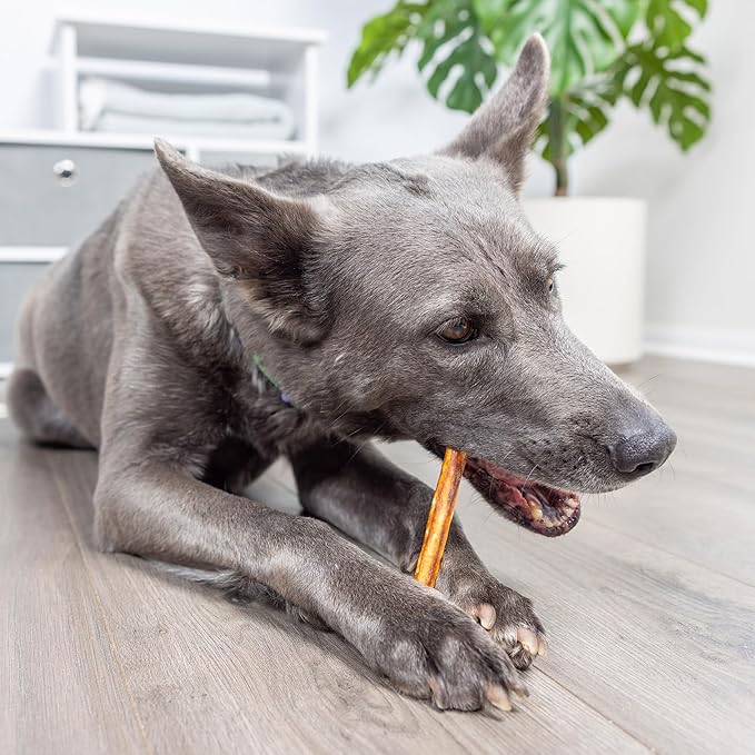 Wild Eats Real Salmon Collagen Sticks for Dogs, (15ct, 1cm Thick) Healthy Bully Stick - Long Lasting Dog Chew Treat