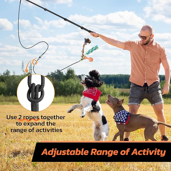 LOOBANI Flirt Pole for Dogs - Chase & Tug of War, Extendable Teaser Wand with Detachable Toys for Medium Dogs Training & Exercise, 48.8in