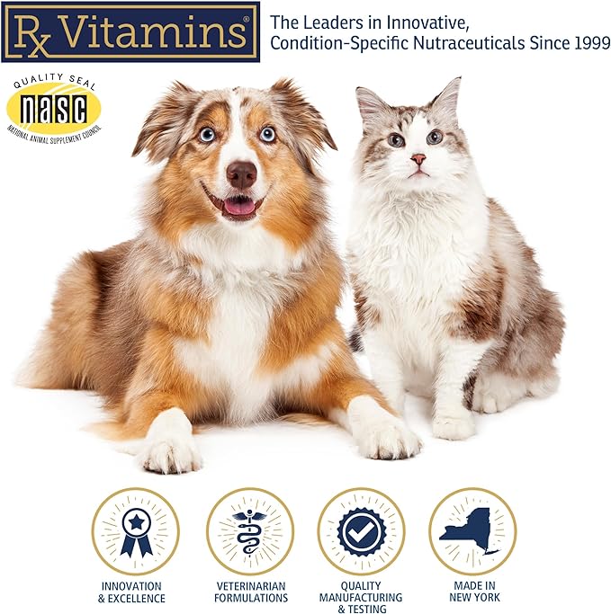 Rx Vitamins Amino B Plex Cat & Dog Supplement - Vitamin B Complex Liquid Plus Amino Acids for Dogs & Cats - Appetite Booster and Weight Gainer Cat & Dog Vitamins - 4 oz