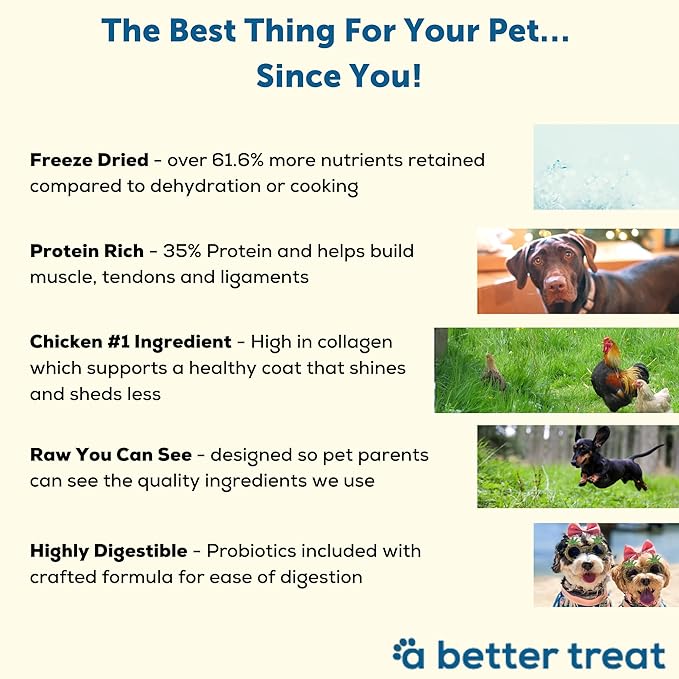A Better Dog Food | Chicken Dry Dog Food | Raw You Can See | High Protein Kibble + Freeze Dried Raw Dog Food