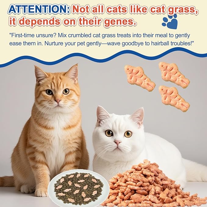 17.6 oz Cat Grass Treats for Indoor Cats - Hairball Control Natural Tuna & Catnip Flavor Healthy Kitten Snacks Crunchy Training Biscuits for Dental Cleaning