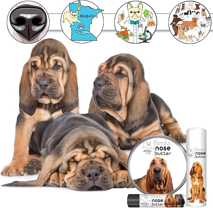 The Blissful Dog Bloodhound Nose Butter for Dry, Cracked Skin, Lick-Safe Dog Nose Balm with Moisturizing Shea Butter, Almond, Olive, and Essential Oils, Pet Supplies, Uncented, 1 oz.