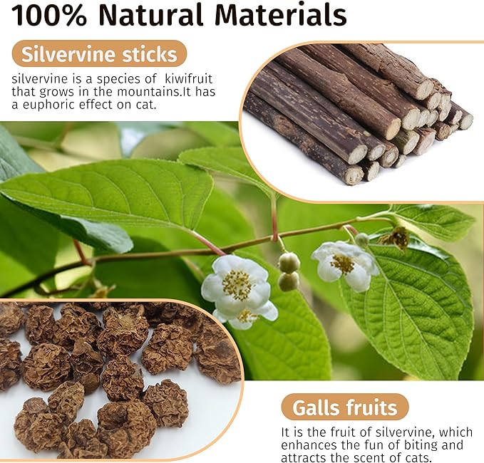 Silvervine Feather Toy - Natural Silver Vines Cat for Dental Health & Teething, Silvervine Stick for Hairball Control, Kick Stick,Cat Chew Sticks for Indoor