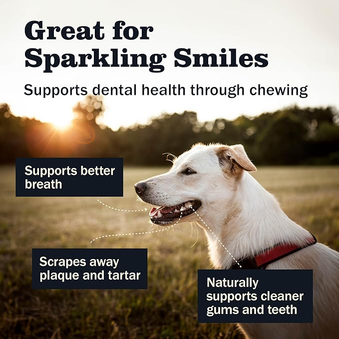 Redbarn 12" Premium Braided Bully Sticks for Dogs - Natural Single Ingredient Braid Treats, Long-Lasting Chews Made from Slow Roasted Beef, Rawhide-Free and Low Odor – 2 Count