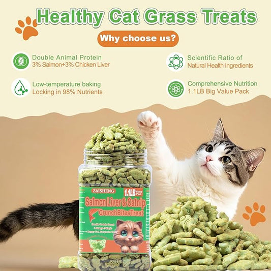 17.6 oz Cat Grass Treats for Indoor Cats - Hairball Control Natural Salmon & Catnip Flavor Healthy Kitten Snacks Crunchy Training Biscuits for Dental Cleaning