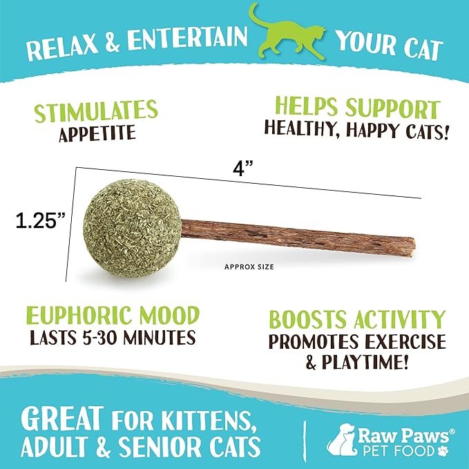 Raw Paws Catnip & Silvervine Lollipops Interactive Cat Toy (6 Pack) - Silvervine Sticks for Cats - Catnip Ball Toy - Fresh Cat Nip - Silver Vine Dental Sticks