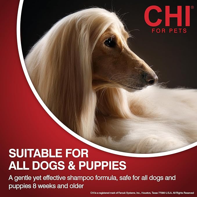 CHI for Dogs Oatmeal Shampoo - Best Dog Wash for Dry Skin and Itch Relief - Gentle Formula with Soothing Ingredients - Sulfate and Paraben Free - pH Balanced - Made in USA, 16 Fl Oz