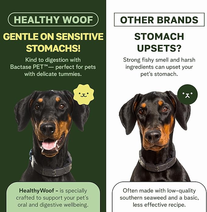 Dental Powder for Dogs Teeth Cleaning. Complete Oral Care Bone Broth. Made in The USA. 2.1 oz, 30 Scoops